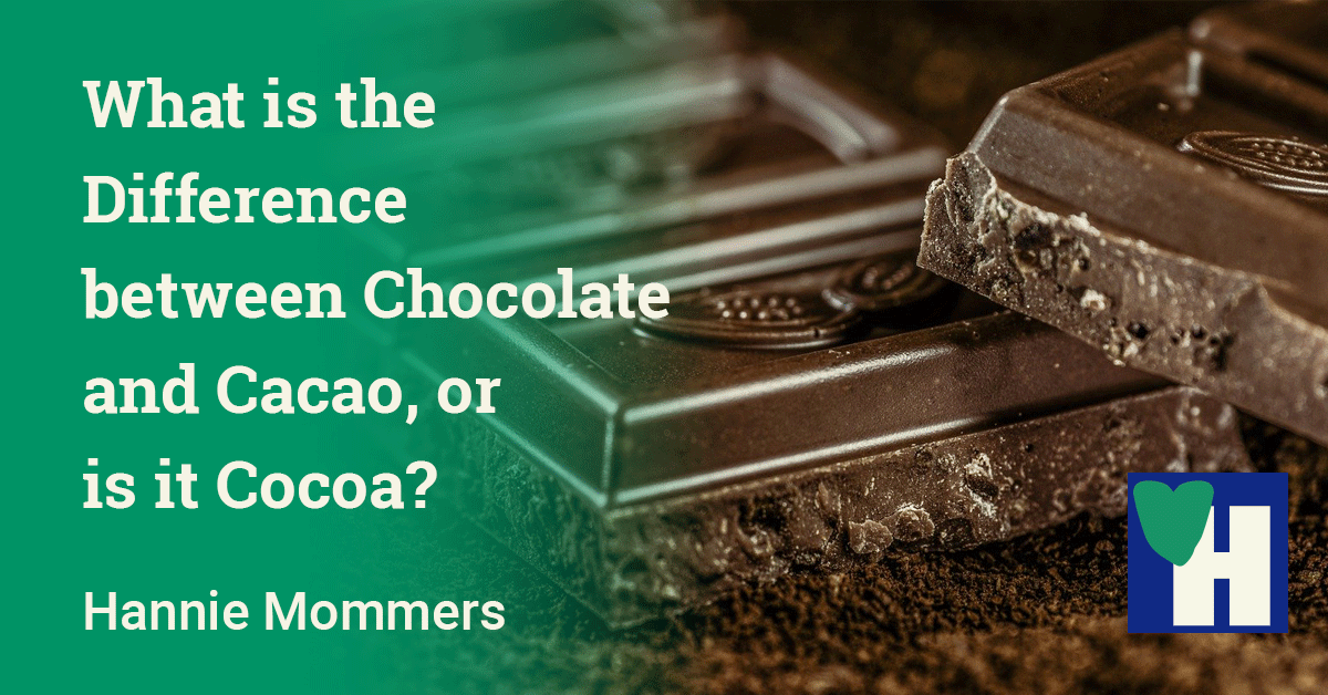 What is the Difference between Chocolate and Cacao, or is it Cocoa?