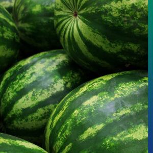 Advantages of Watermelon, especially in a Hot Summer