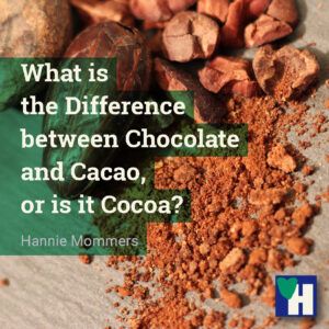 What is the Difference between Chocolate and Cacao, or is it Cocoa?