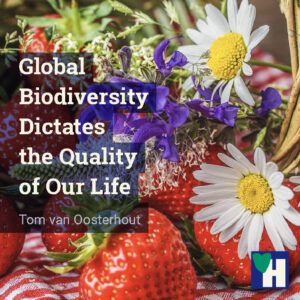 Global Biodiversity Dictates the Quality of Our Life