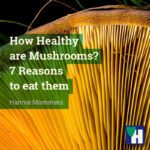 How Healthy are Mushrooms? 7 Reasons to eat them