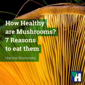 How Healthy are Mushrooms? 7 Reasons to eat them.