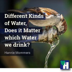 Different Kinds of Water, Does it Matter which Water we drink?