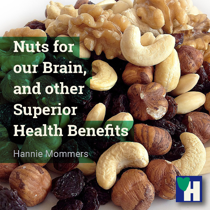 Nuts for our Brain, and other Superior Health Benefits for our body