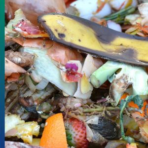 Reuse food waste: throw it in the compost bin
