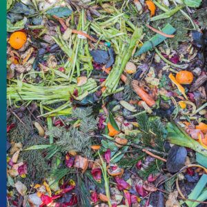 Why reduce food waste?