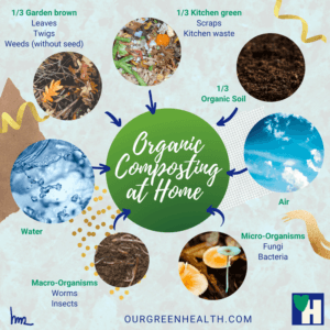 Infographic Composting process