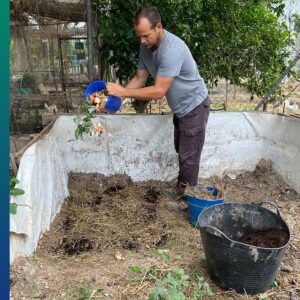 Composting in a corner of the garden