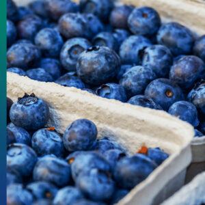 Purple and blue food: blueberries