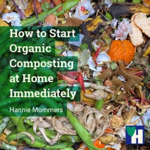 How to Start Organic Composting at Home Immediately