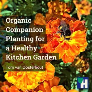 Organic Companion Planting for a Healthy Kitchen Garden