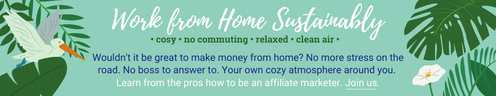 Work from home sustainably