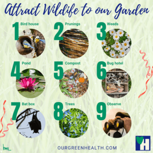 Infographic Attract Wildlife to our Garden