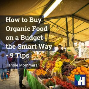 How to Buy Organic Food on a Budget the Smart Way - 9 Tips