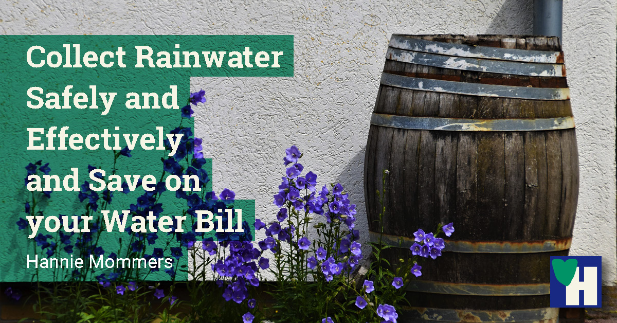 Collect Rainwater Safely and Effectively and Save on your Water Bill