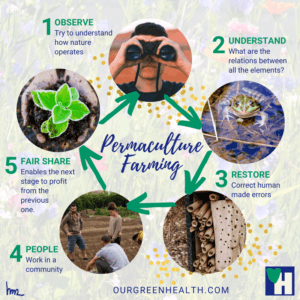 Infographic: Permaculture Farming