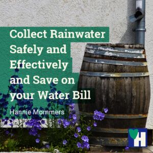 Collect Rainwater Safely and Effectively and Save on your Water Bill