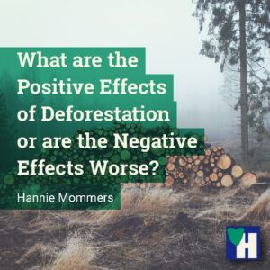 What are the Positive Effects of Deforestation or are the Negative Effects Worse?