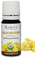 Amrita Helichrysum