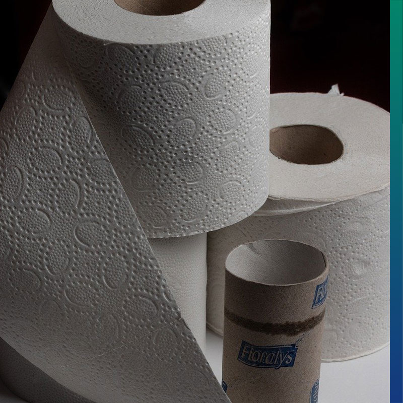5 EcoFriendly Reasons why we Should Buy Recycled Toilet Paper
