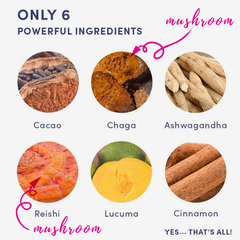 How Healthy are Mushrooms? 7 Reasons to eat them