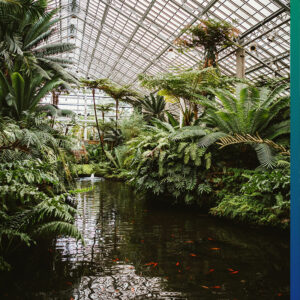 Greenhouse in a botanical garden