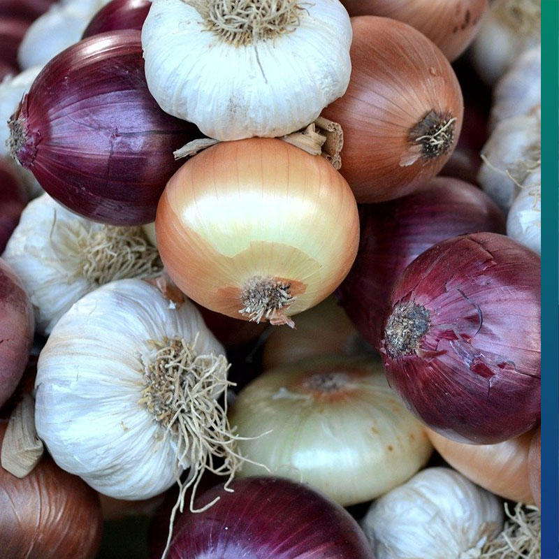 8 Natural Pesticides for Plants that are Useful in our Garden