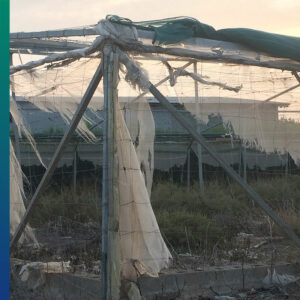 Abandoned greenhouse