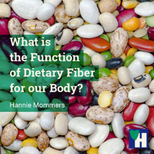 What is the Function of Dietary Fiber for our Body?