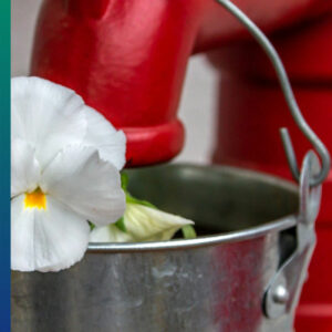 Bucket and water