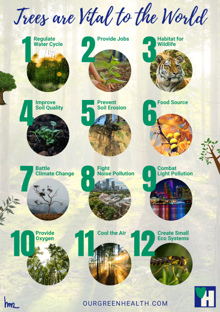 Infographic: Trees are vital to the world