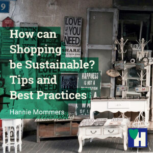 How can Shopping be Sustainable? Tips and Best Practices