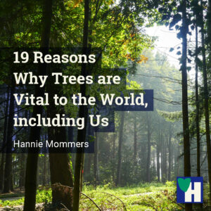 19 Reasons Why Trees are Vital to the World, including Us