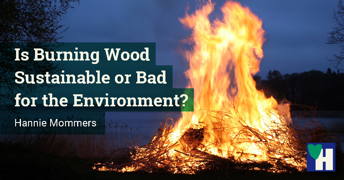 Is Burning Wood Sustainable or Bad for the Environment?