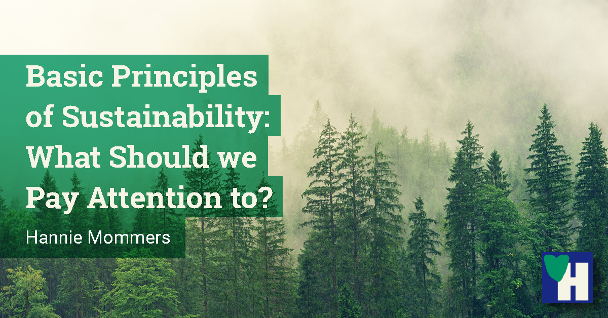 Basic Principles Of Sustainability: What Should We Pay Attention To?