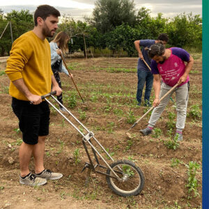 Tools for organic farming