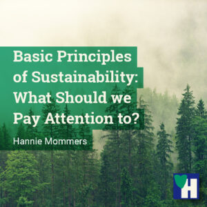 Basic Principles of Sustainability: What Should we Pay Attention to?