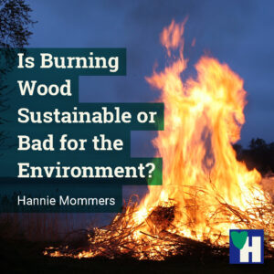 Is Burning Wood Sustainable or Bad for the Environment?