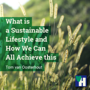 What is a Sustainable Lifestyle and How We Can All Achieve this