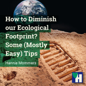 How to Diminish our Ecological Footprint? Some (Mostly Easy) Tips