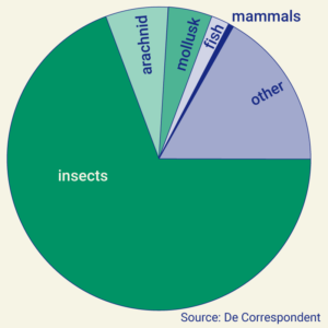 Invertebrates make up 98% of the animal species