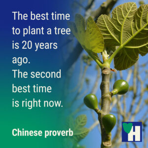 Quote Best time to plant a tree