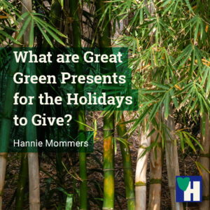 What are Great Green Presents for the Holidays to Give?
