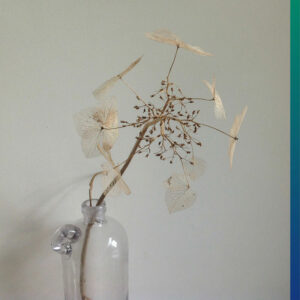 Minimalism: dried flower