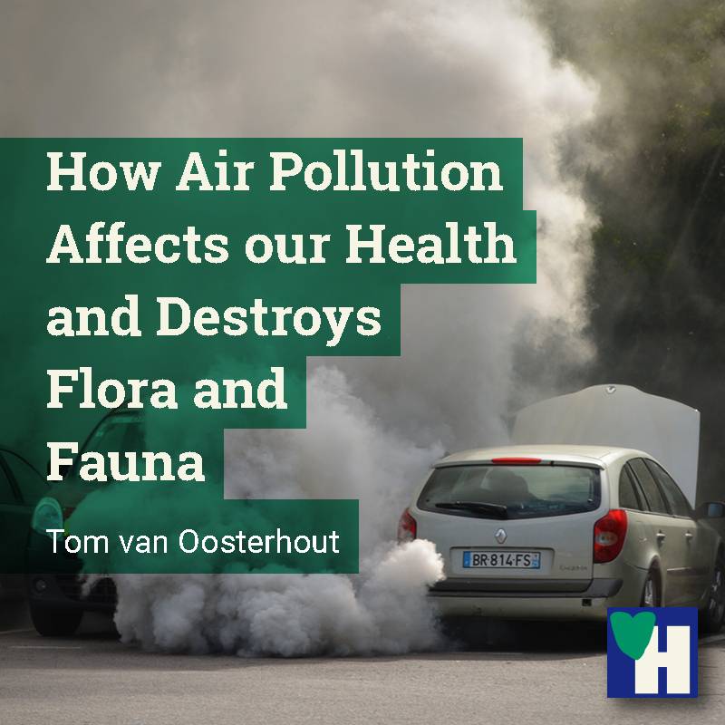 how-air-pollution-affects-our-health-and-destroys-flora-and-fauna