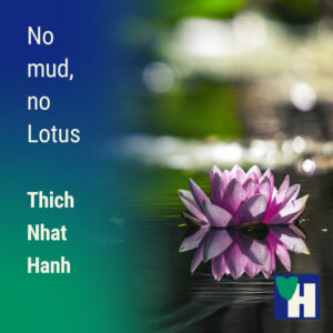 No mud, no lotus