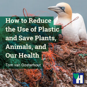 How to Reduce the Use of Plastic and Save Plants, Animals, and Our Health